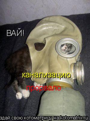 Котоматрица: ВАЙ! канализацию прорвало