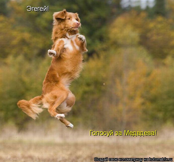 Котоматрица: Эгегей! Голосуй за Медвдева!