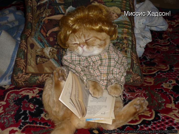 Котоматрица: Миссис Хадсон!