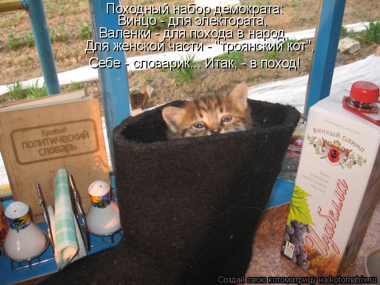 Котоматрица: Походный набор демократа: Винцо - для электората, Валенки - для похода в народ, Для женской части - "троянский кот", Себе - словарик... Итак, - в п