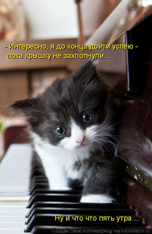Котоматрица: - Интересно, я до конца дойти успею - пока крышку не захлопнули.... Ну и что что пять утра....