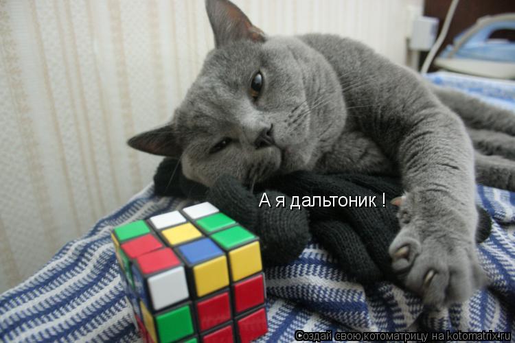 Котоматрица: А я дальтоник !