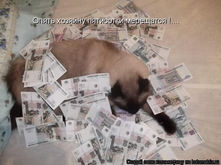Котоматрица: Опять хозяину пятисотки мерещатся !....