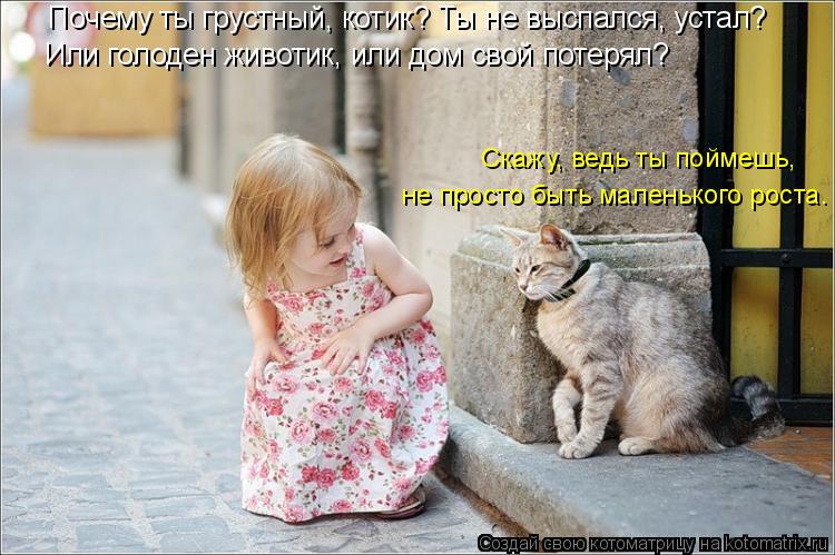 Почему ты грустный, котик? Ты не выспался, устал? Или голоден животик, или дом свой потерял? Скажу, в... Котоматрица: Почему ты грустный, котик? Ты не выспался, устал? Или голоден животик, или дом свой потерял? Скажу, ведь ты поймешь, не просто быть маленького
