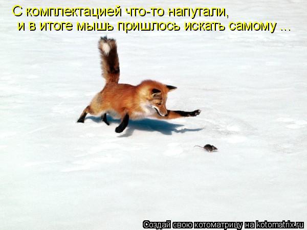 С комплектацией что-то напутали, и в итоге мышь пришлось искать самому ...... Котоматрица: С комплектацией что-то напутали, и в итоге мышь пришлось искать самому ...