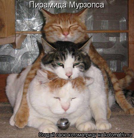 Котоматрица: Пирамида Мурзопса