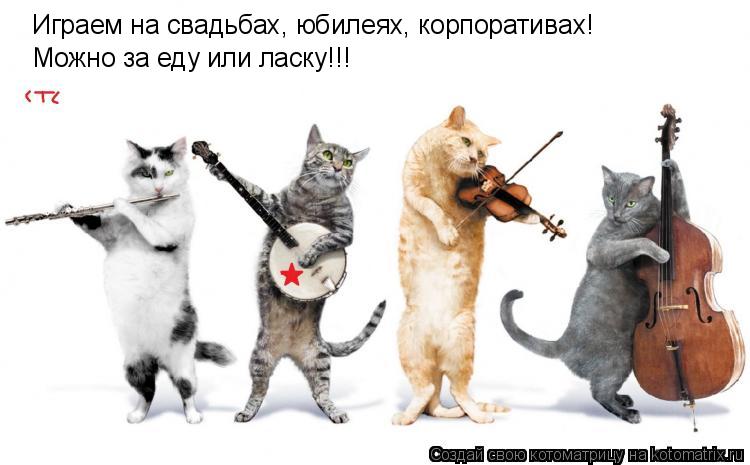 Котоматрица: Можно за еду или ласку!!! Играем на свадьбах, юбилеях, корпоративах!