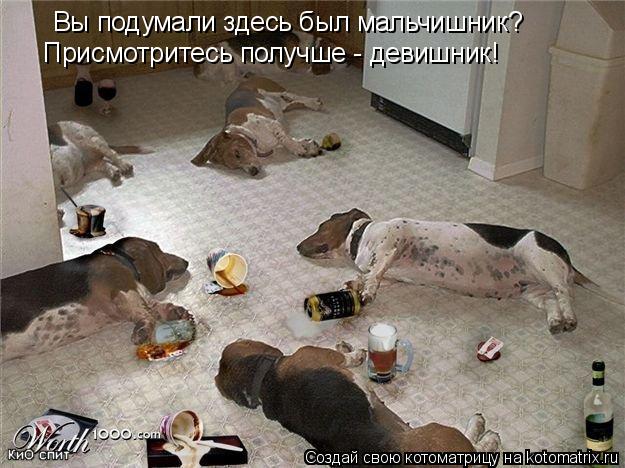 Котоматрица: Вы подумали здесь был мальчишник? Присмотритесь получше - девишник!