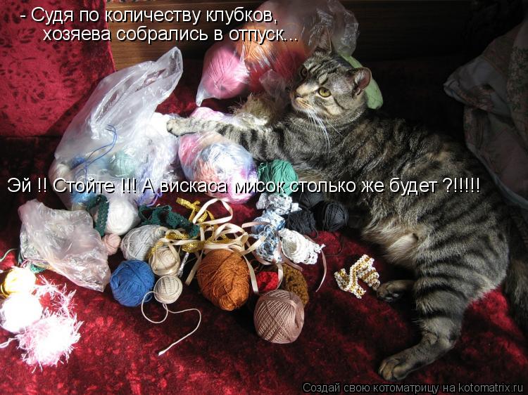 Котоматрица: - Судя по количеству клубков, хозяева собрались в отпуск... Эй !! Стойте !!! А вискаса мисок столько же будет ?!!!!!