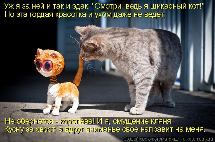 Котоматрица: Уж я за ней и так и эдак: "Смотри, ведь я шикарный кот!" Но эта гордая красотка и ухом даже не ведет, Не обернется - королева! И я, смущение кляня,