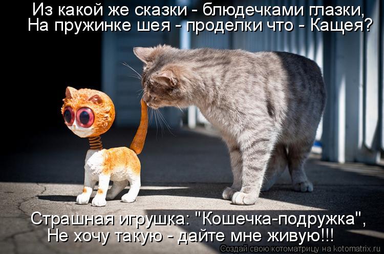 Котоматрица: Из какой же сказки - блюдечками глазки, На пружинке шея - проделки что - Кащея? Страшная игрушка: "Кошечка-подружка", Не хочу такую - дайте мне ж