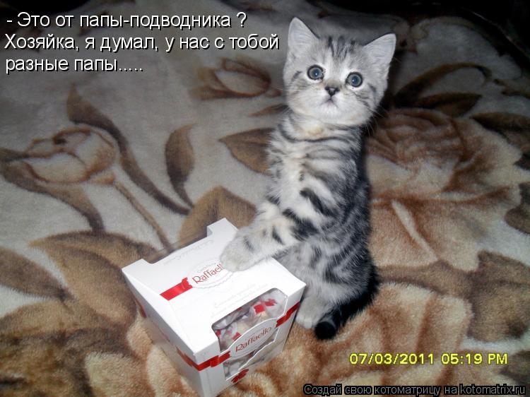 Котоматрица: - Это от папы-подводника ? Хозяйка, я думал, у нас с тобой разные папы.....