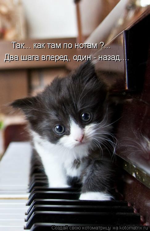 Котоматрица: Так... как там по нотам ?... Два шага вперед, один - назад....