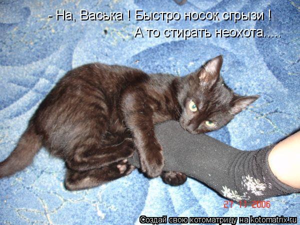 Котоматрица: - На, Васька ! Быстро носок сгрызи ! А то стирать неохота.....