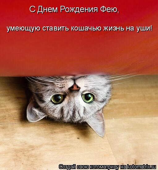 С днем рождения феечка С днем рождения феечка