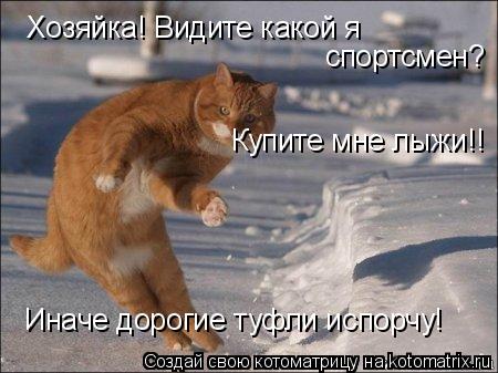 Котоматрица: Хозяйка! Видите какой я спортсмен? Купите мне лыжи!!  Иначе дорогие туфли испорчу!