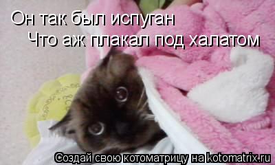 Котоматрица: Он так был испуган Что аж плакал под халатом