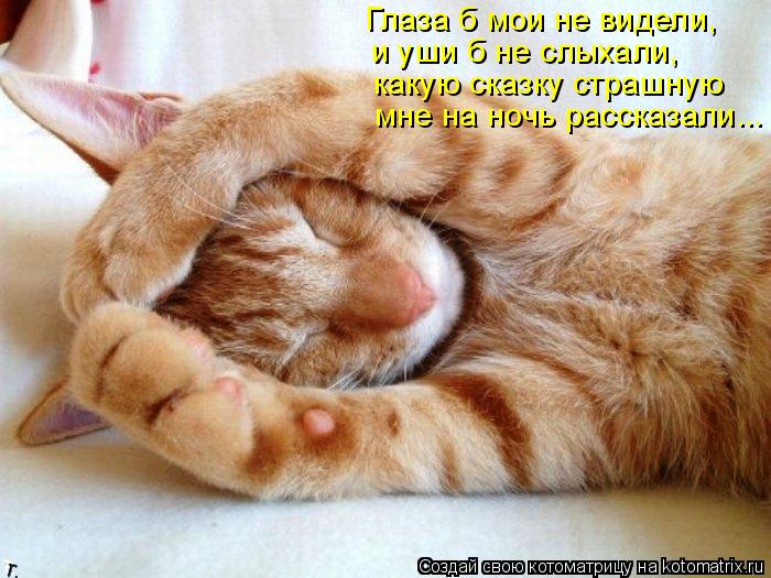 Глаза б мои не видели, и уши б не слыхали, какую сказку страшную мне на ночь рассказали...... Котоматрица: Глаза б мои не видели, и уши б не слыхали, какую сказку страшную мне на ночь рассказали...