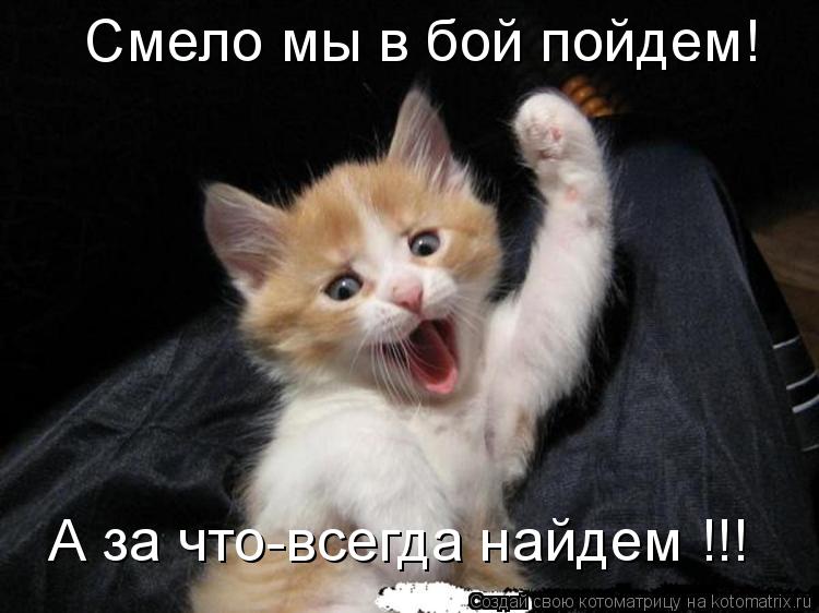 Смело мы в бой пойдем! А за что-всегда найдем !!!... Котоматрица: Смело мы в бой пойдем! А за что-всегда найдем !!!