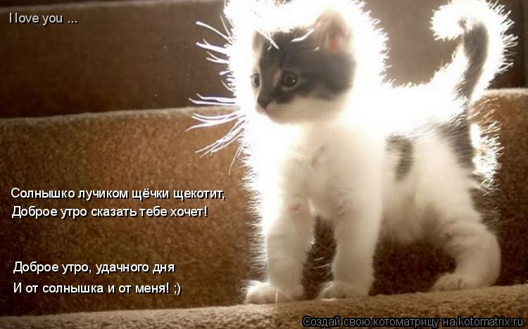 Котоматрица: Солнышко лучиком щёчки щекотит, Доброе утро сказать тебе хочет! Доброе утро, удачного дня И от солнышка и от меня! ;) I love you ...