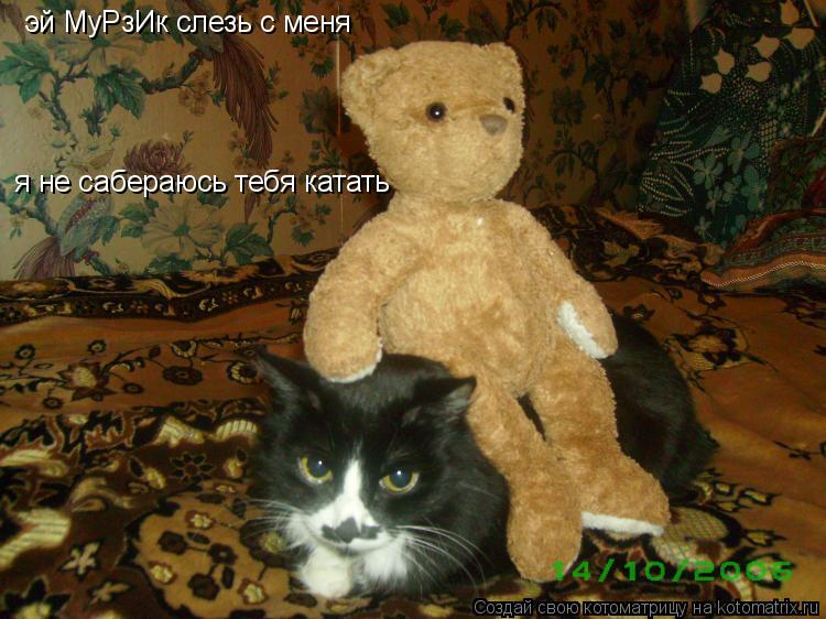 Котоматрица: эй МуРзИк слезь с меня  я не сабераюсь тебя катать