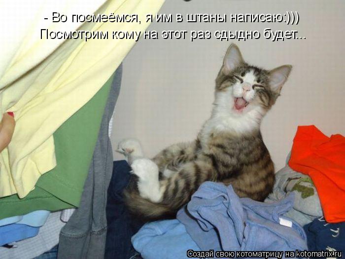 Котоматрица: - Во посмеёмся, я им в штаны написаю:))) Посмотрим кому на этот раз сдыдно будет...