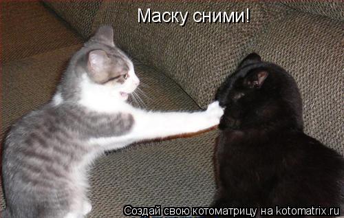 Котоматрица: Маску сними!