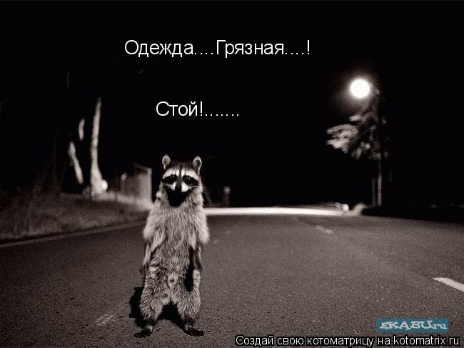 Котоматрица: Одежда....Грязная....! Стой!.......