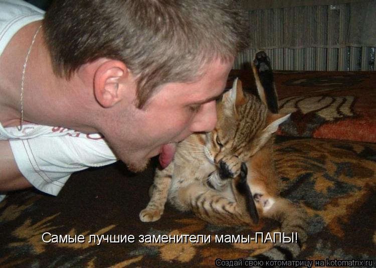 Котоматрица: Самые лучшие заменители мамы-ПАПЫ!