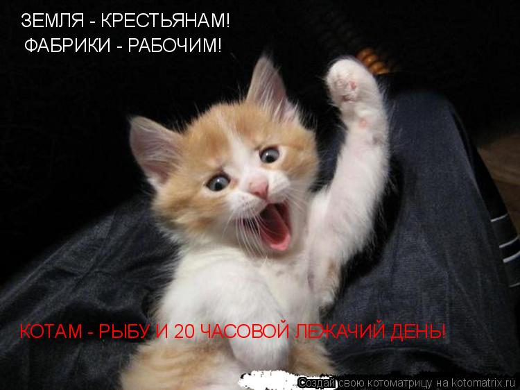 Котоматрица: ЗЕМЛЯ - КРЕСТЬЯНАМ! ФАБРИКИ - РАБОЧИМ! КОТАМ - РЫБУ И 20 ЧАСОВОЙ ЛЕЖАЧИЙ ДЕНЬ!