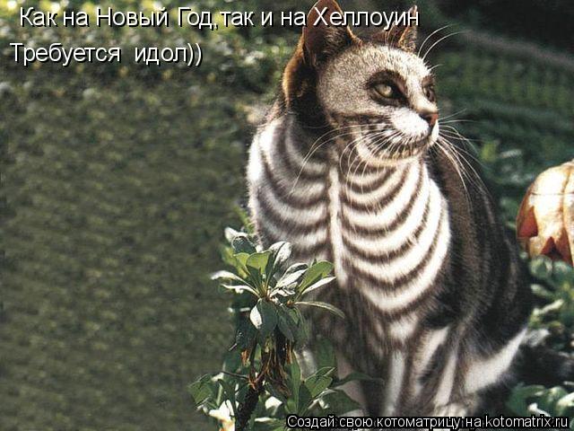 Котоматрица: Как на Новый Год,так и на Хеллоуин Требуется  идол))