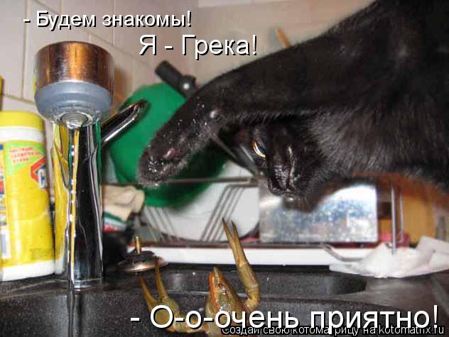Котоматрица: Я - Грека! - О-о-очень приятно! - Будем знакомы!