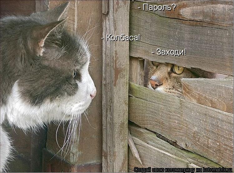 Котоматрица: - Пароль? - Колбаса! - Заходи!