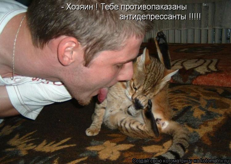 Котоматрица: - Хозяин ! Тебе противопаказаны антидепрессанты !!!!!