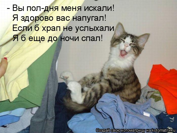Котоматрица: - Вы пол-дня меня искали! Я здорово вас напугал! Если б храп не услыхали Я б еще до ночи спал!