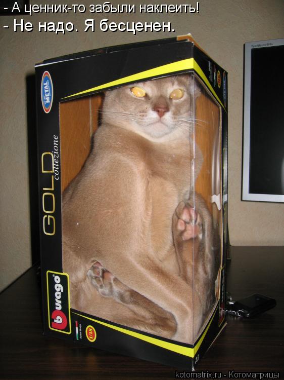 Котоматрица: - А ценник-то забыли наклеить! - Не надо. Я бесценен.