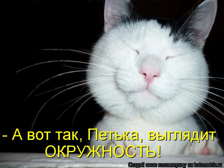Котоматрица: - А вот так, Петька, выглядит ОКРУЖНОСТЬ!