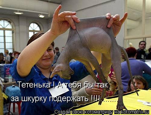 Котоматрица: - Тетенька ! А тебя бы так за шкурку подержать !!!!........