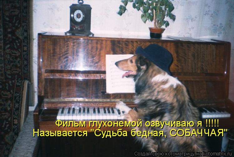 Котоматрица: Фильм глухонемой озвучиваю я !!!!! Называется "Судьба бедная, СОБАЧЧАЯ"