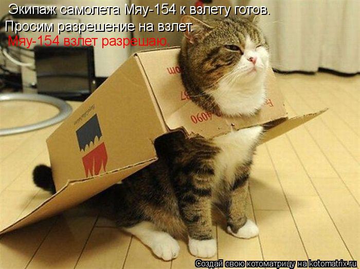 Котоматрица: Экипаж самолета Мяу-154 к взлету готов. Просим разрешение на взлет. Мяу-154 взлет разрешаю.
