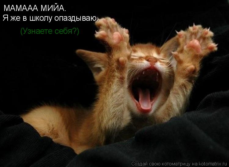 Котоматрица: МАМААА МИЙА. Я же в школу опаздываю. (Узнаете себя?)