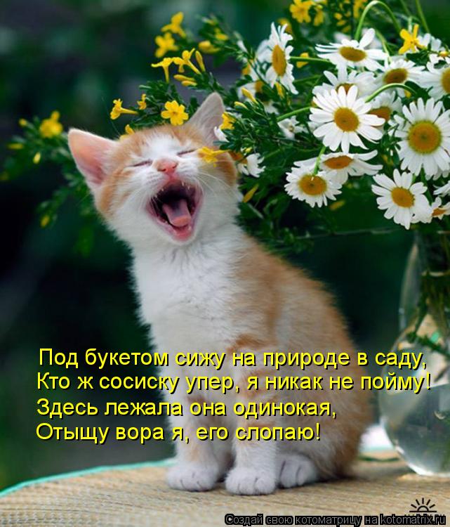 Котоматрица: Под букетом сижу на природе в саду, Кто ж сосиску упер, я никак не пойму! Здесь лежала она одинокая, Отыщу вора я, его слопаю!