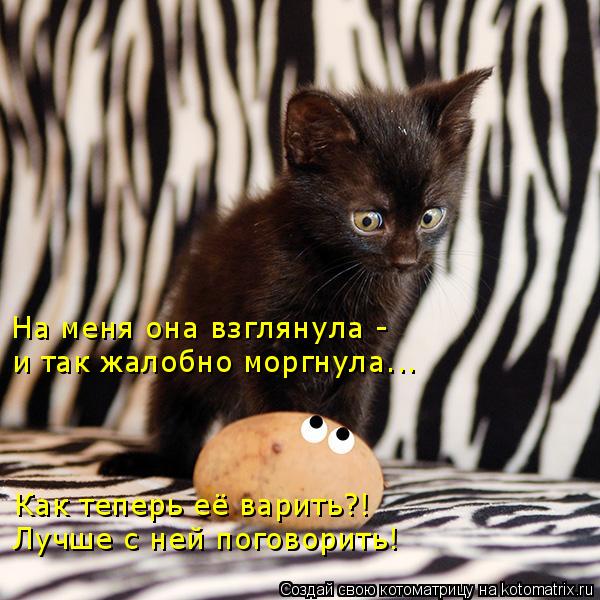 На меня она взглянула - и так жалобно моргнула….. Как теперь её варить?! Лучше с ней поговорить!... Котоматрица: На меня она взглянула - и так жалобно моргнула….. Как теперь её варить?! Лучше с ней поговорить!