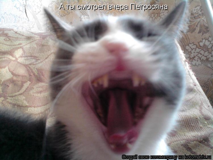 Котоматрица: А ты смотрел вчера Петросяна