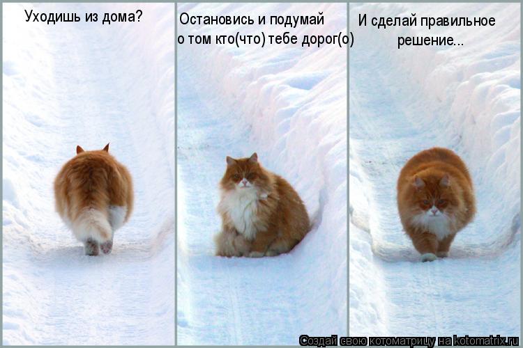 Уходишь из дома? Остановись и подумай о том кто(что) тебе дорог(о) И сделай правильное решение...... Котоматрица: Уходишь из дома? Остановись и подумай о том кто(что) тебе дорог(о) И сделай правильное решение...