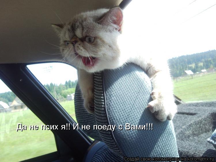 Котоматрица: Да не псих я!! И не поеду с Вами!!!