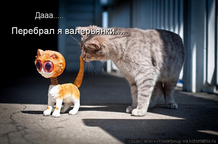 Дааа..... Перебрал я валерьянки....... Котоматрица: Дааа..... Перебрал я валерьянки....