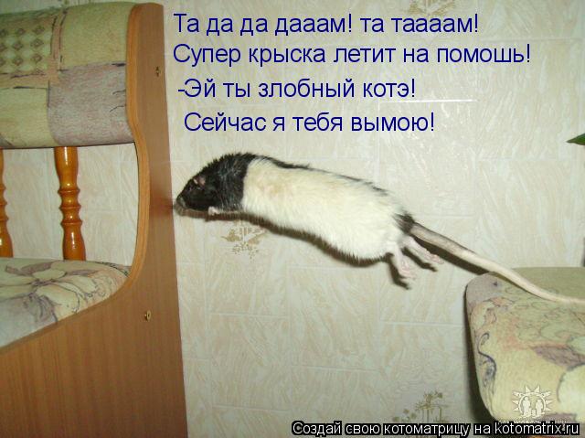 Та да да дааам! та таааам! Супер крыска летит на помошь! -Эй ты злобный котэ! Сейчас я тебя вымою!... Котоматрица: Та да да дааам! та таааам! Супер крыска летит на помошь! -Эй ты злобный котэ! Сейчас я тебя вымою!