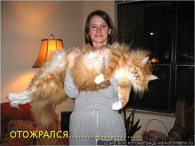 ОТОЖРАЛСЯ......................... Котоматрица: ОТОЖРАЛСЯ......................