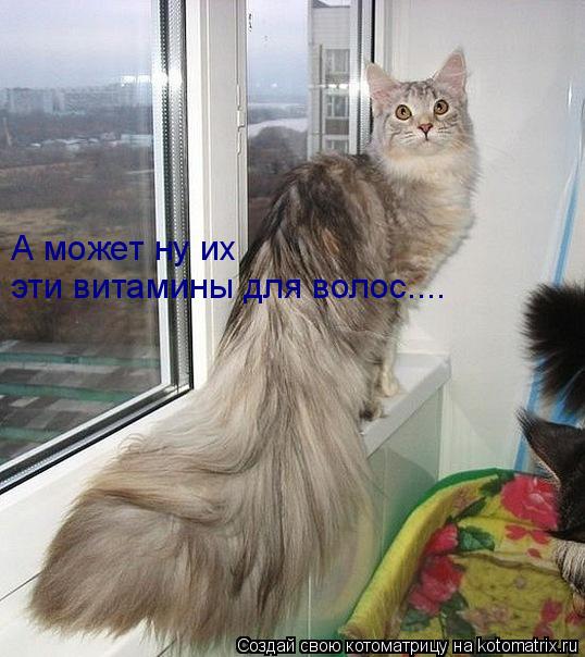 эти витамины для волос.... А может ну их... Котоматрица: эти витамины для волос.... А может ну их